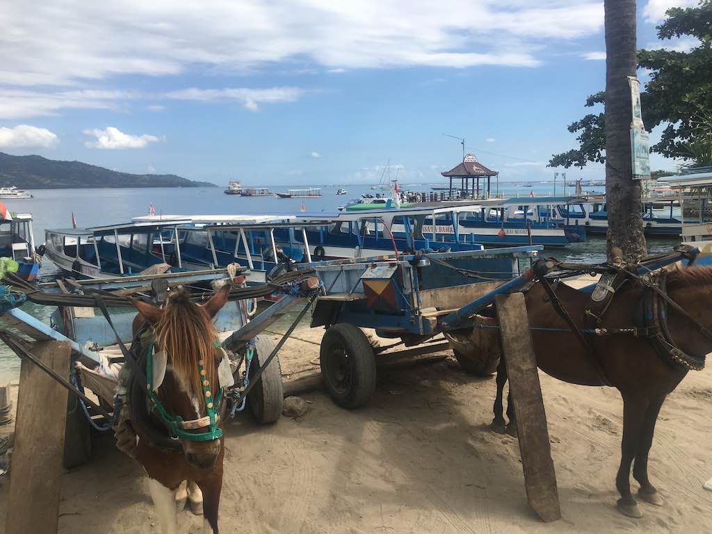 Gili Islands Lombok horse ride