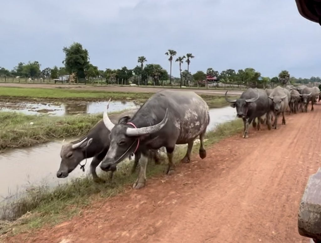 Around Siem Reap