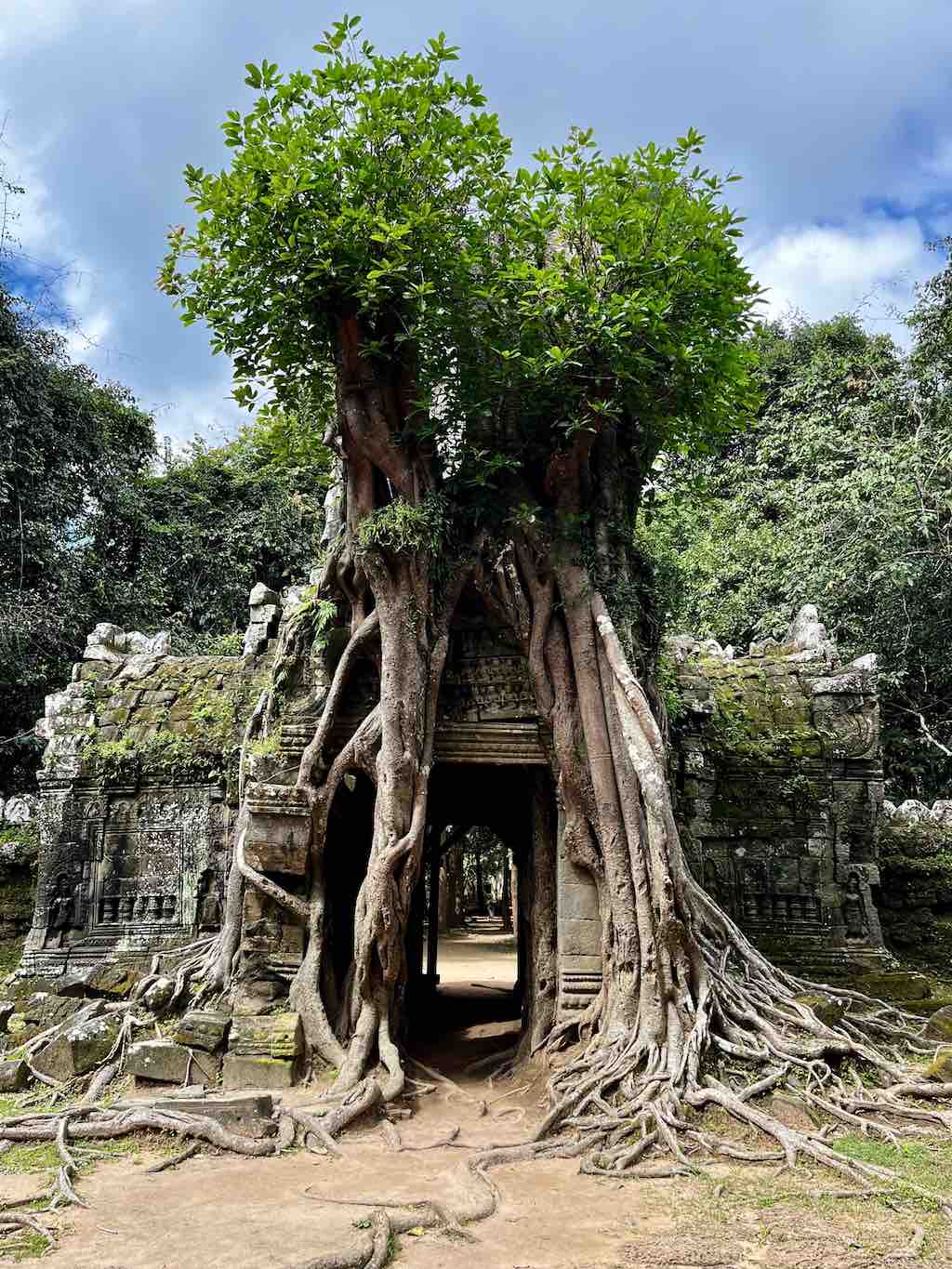 Ta Som Angkor Siem Reap Cambodia