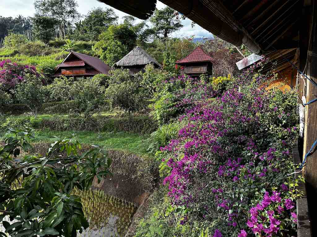 Lombok Indonesia Hotel Rinjani Mountain Garden