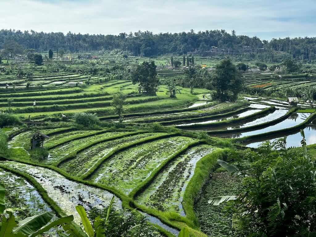 Maha Gangga Valley Karangasem Bali