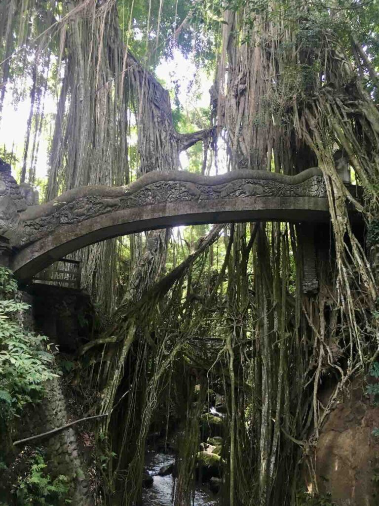 Monkey Forest Ubud Bali Indonesia