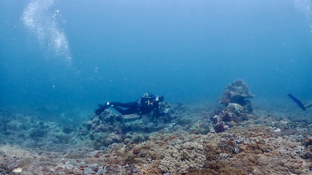 scuba diving Kertasari Sumbawa