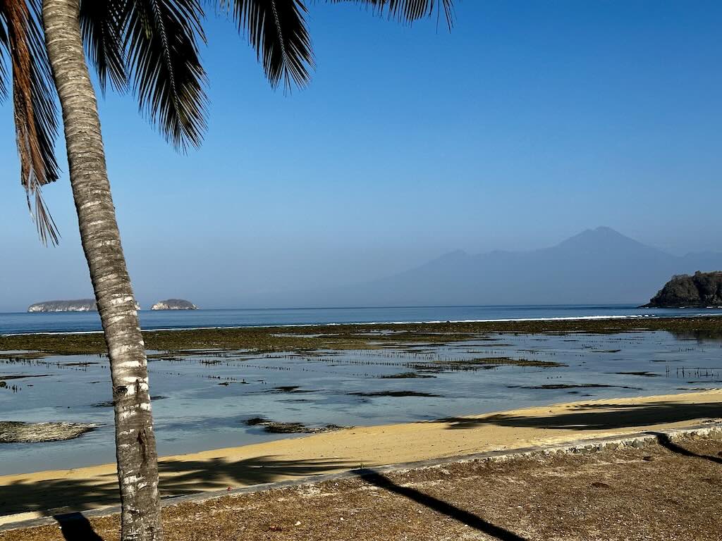 seaweed farming Kertasari Sumbawa