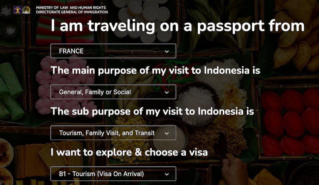 form for visa e-VOA