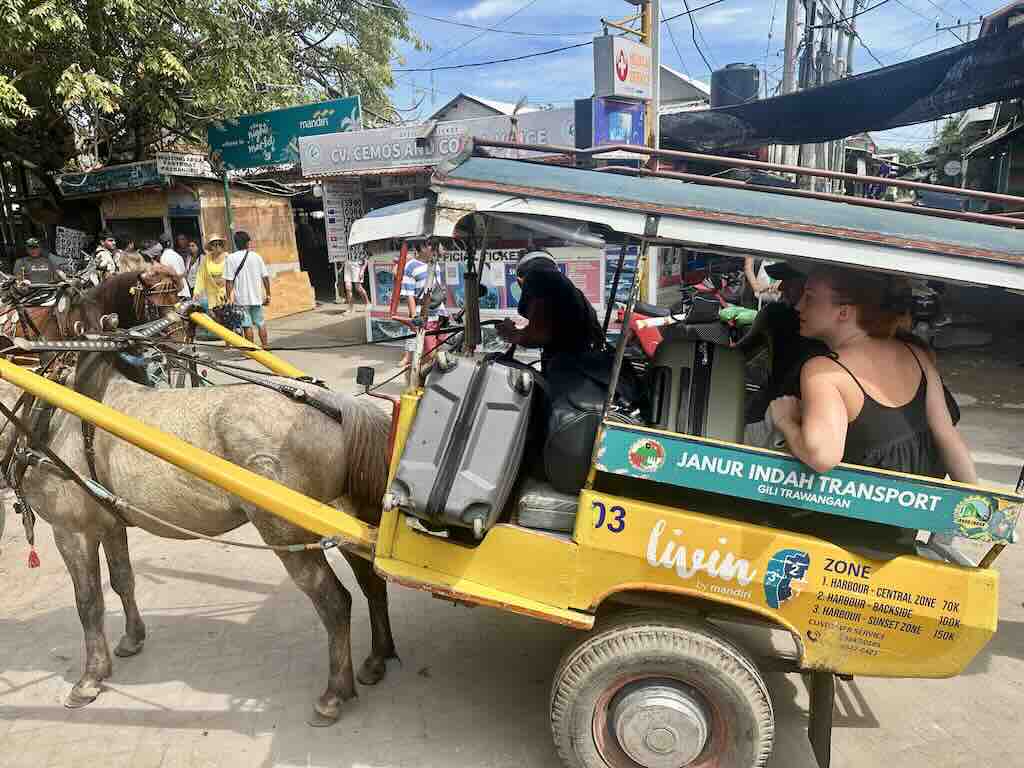 Gili Trawangan Gili islands Horse Carriage