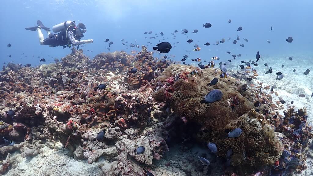 Gili Trawangan Scuba diving