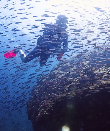 Blaise Richelieu rock Andaman sea Thailand