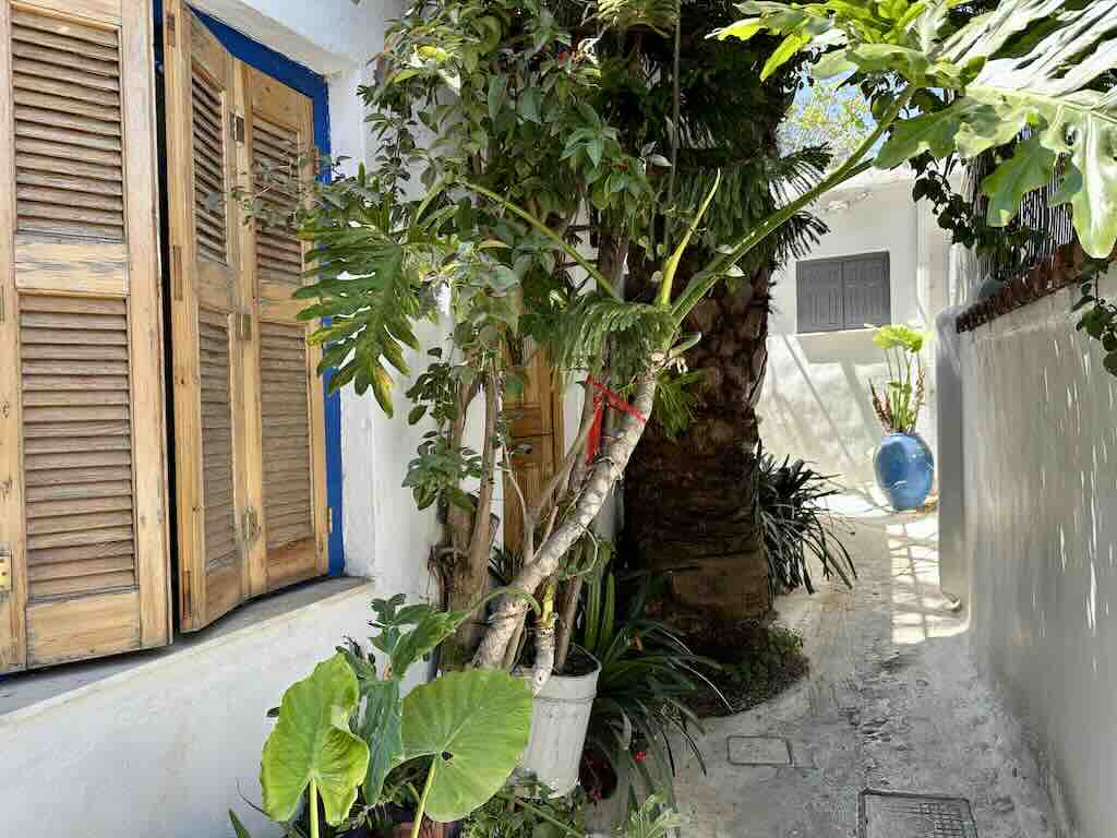 Anafiotika street in Athens with white houses, plants and narrow alley