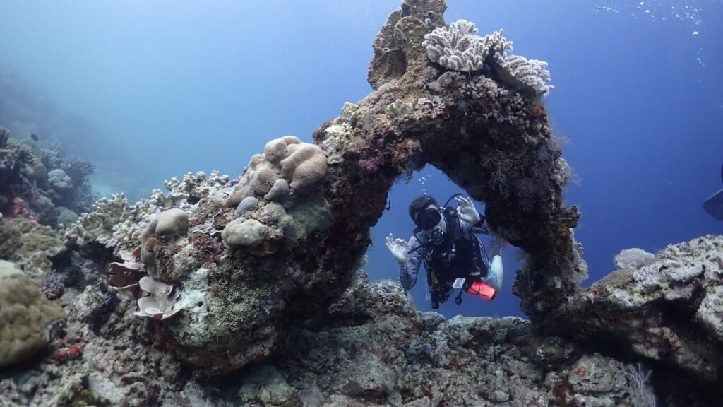 A diver through a coral arch at Turtle Traffic, Maratua