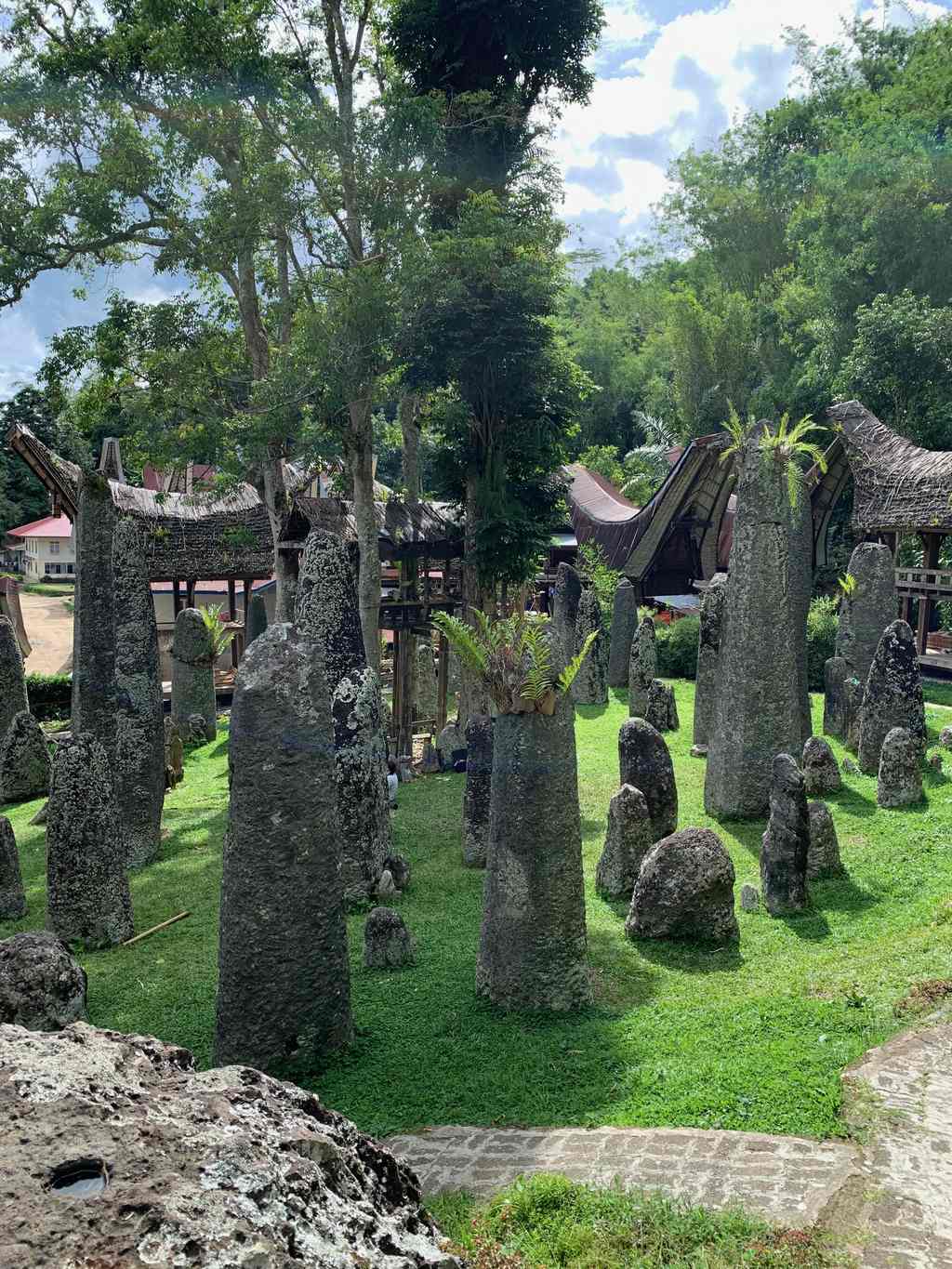 Campo di megaliti eretti, simbuang batu, a Bori Kalimbuang, Tana Toraja, Sulawesi