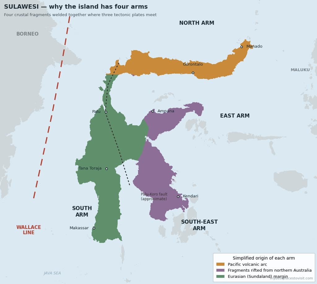 Mappa di Sulawesi con i quattro bracci colorati secondo l'origine tettonica, la linea di Wallace e la faglia di Palu-Koro