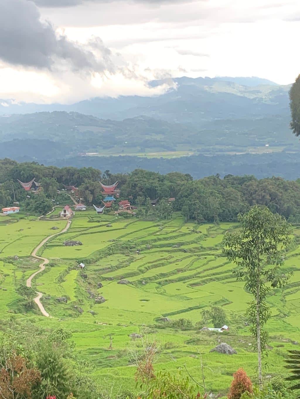 Risaie a terrazze e versanti boscosi sugli altipiani toraja, Sulawesi meridionale
