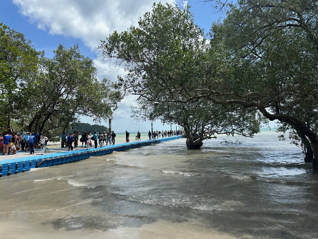 Blauer schwimmender Ponton-Steg durch die Mangroven von Railay East