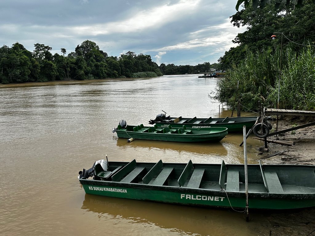 Grüne Langboote am Ufer des Kinabatangan bei Kampung Sukau, Sabah
