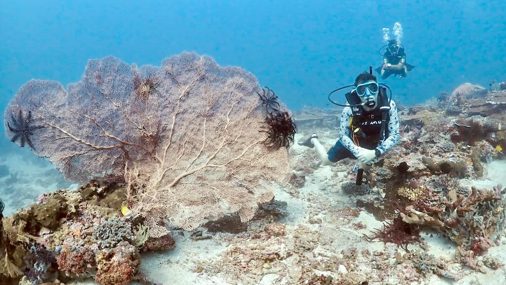 ギリ・トラワンガン沖のダイビングポイントDeep Turboで、巨大なウミウチワの脇で中性浮力をとるダイバー