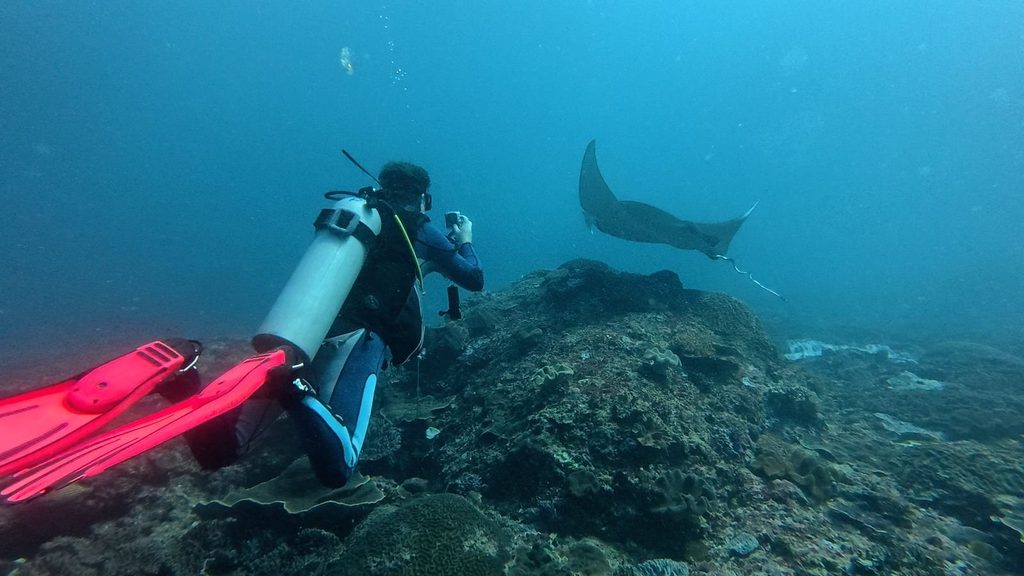 ヌサペニダ島マンタポイントで、ナンヨウマンタが通り過ぎるあいだリーフの上で中性浮力を保つダイバー