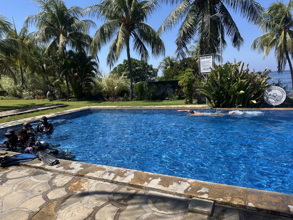 Piscina e palme da cocco all’Ocean View Tulamben Dive and Resort, Bali