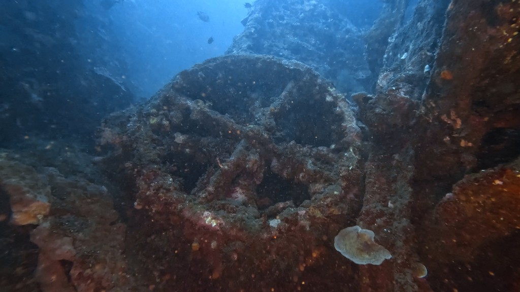 Grande struttura circolare incrostata sul relitto dell’USAT Liberty a Tulamben, Bali