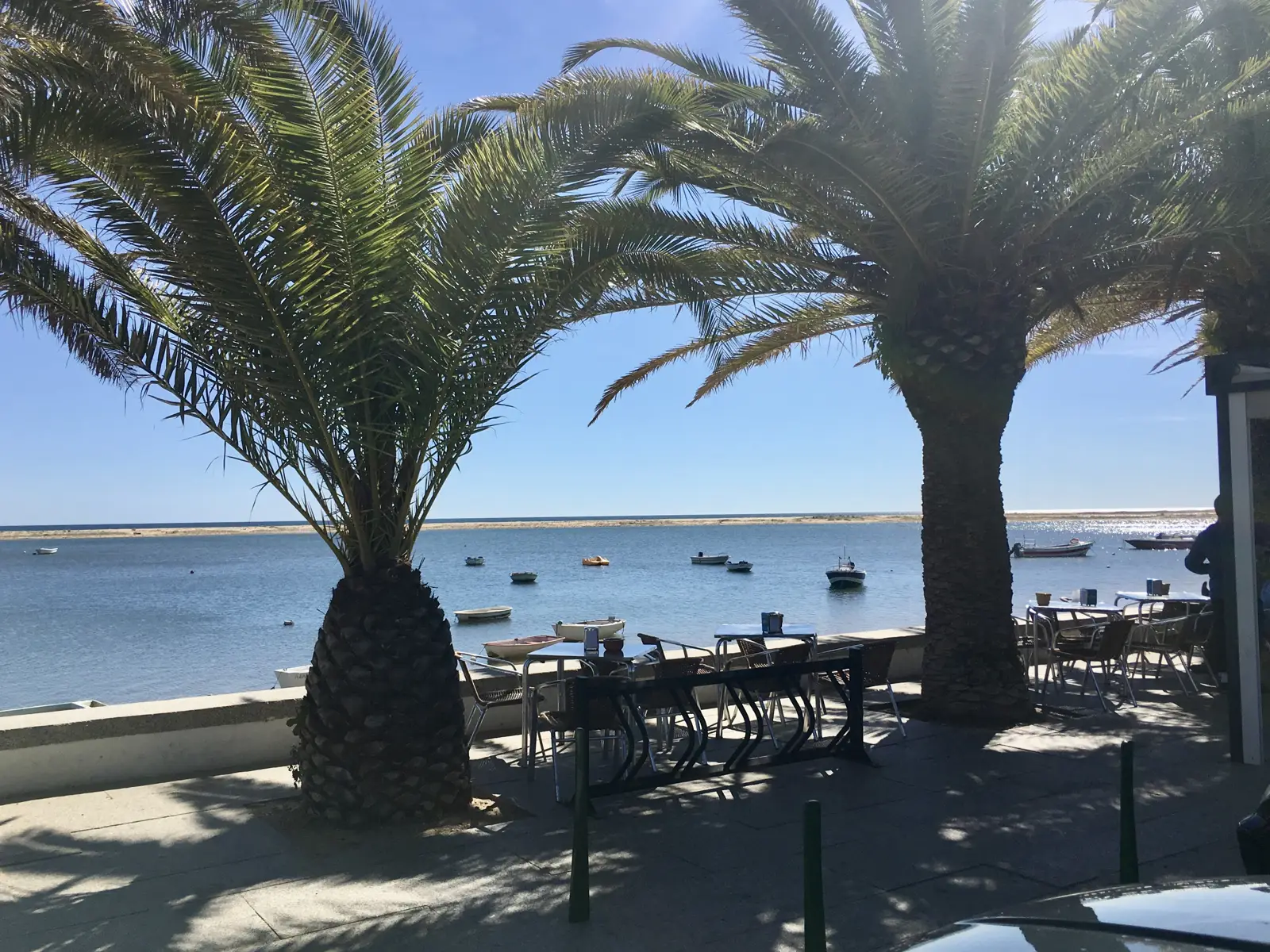 The terrace of the Fábrica do Costa restaurant under palm trees facing the lagoon