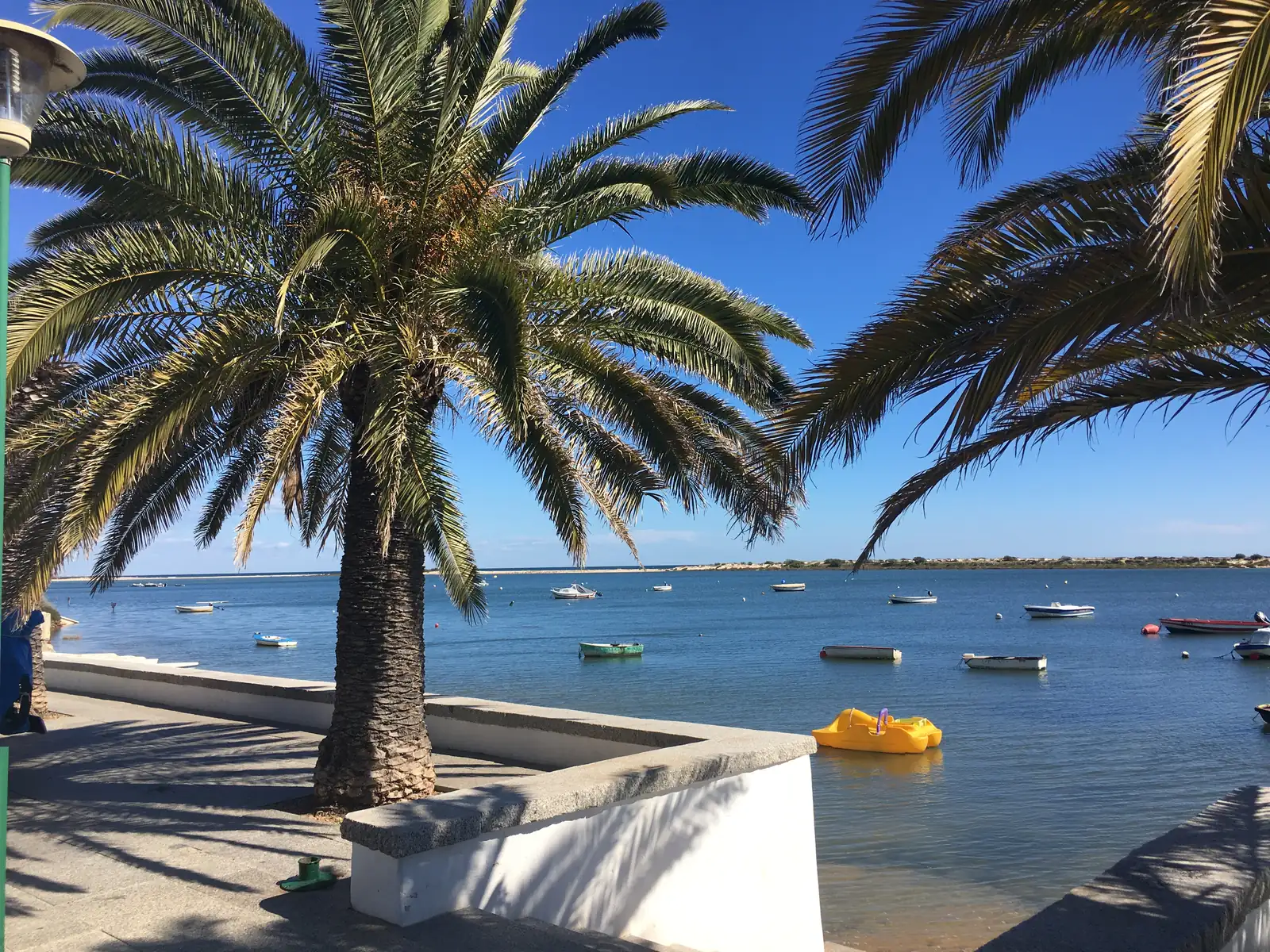 Fishing boats in the Ria Formosa lagoon under palm trees at Cacela