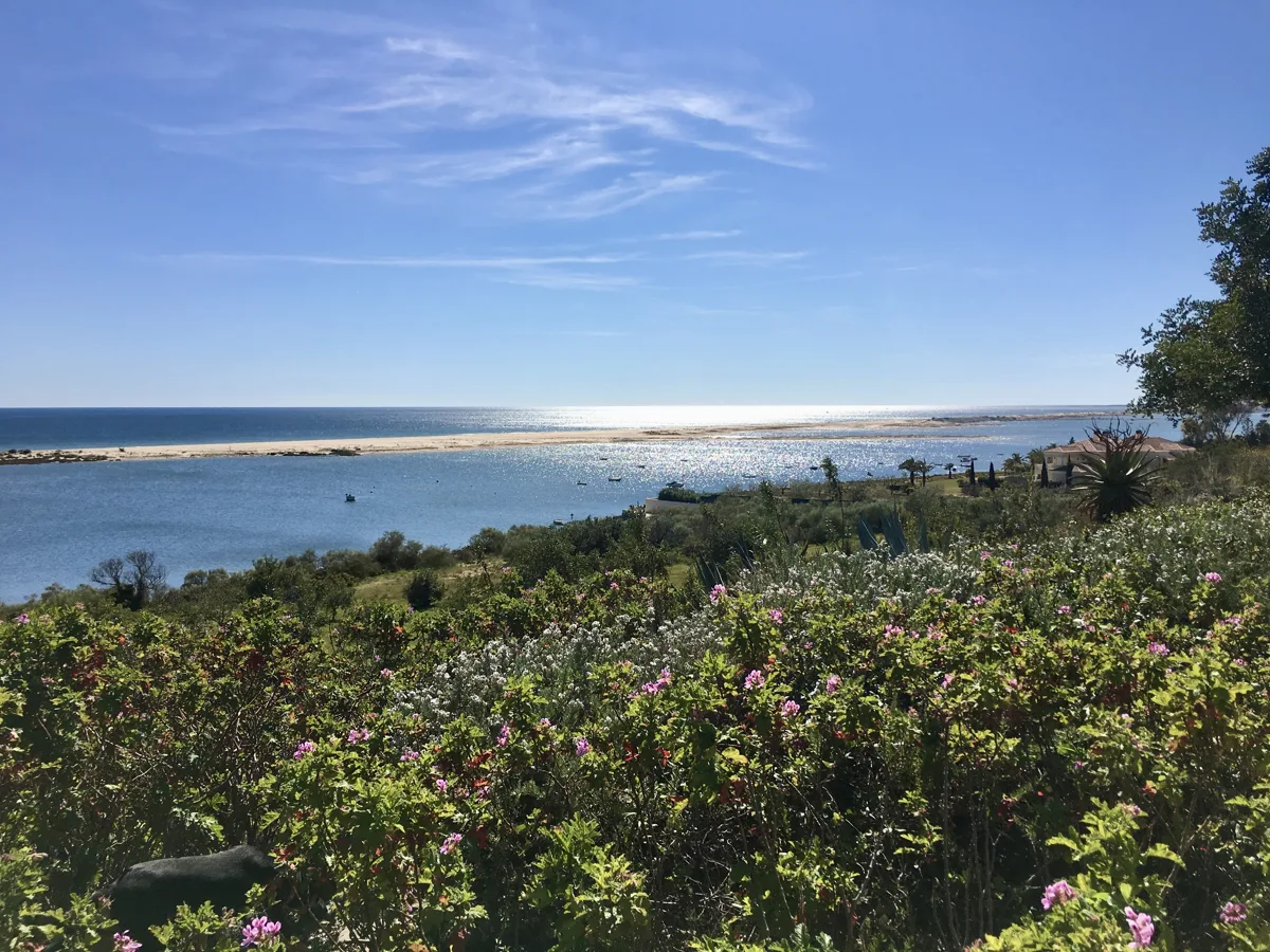 The Ria Formosa lagoon and the sandbanks seen through wildflowers