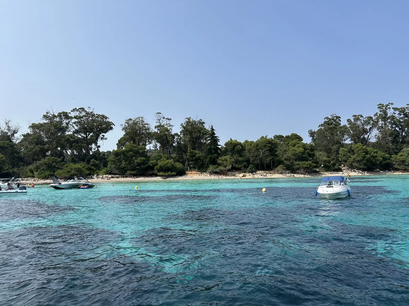 Turquoise water and pine trees on the shore of Sainte-Marguerite island