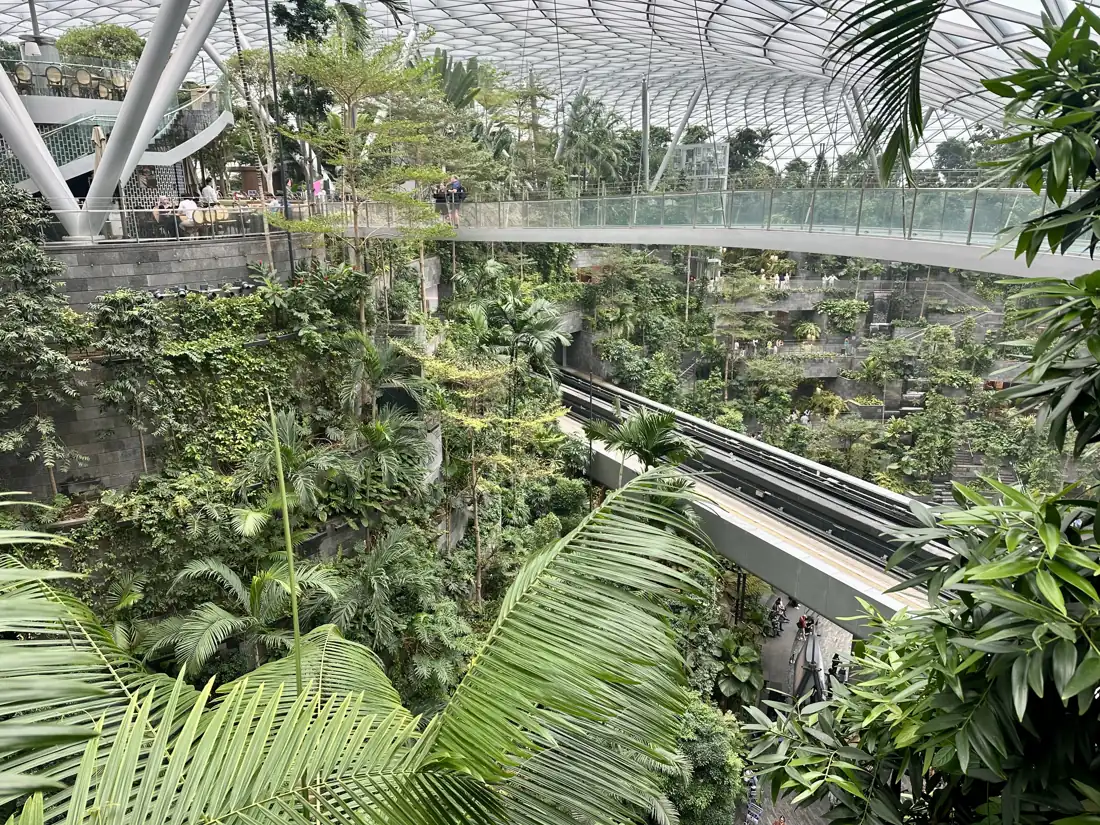 De terrassen van Shiseido Forest Valley in Jewel met de Canopy Bridge erboven en de Skytrain eronder