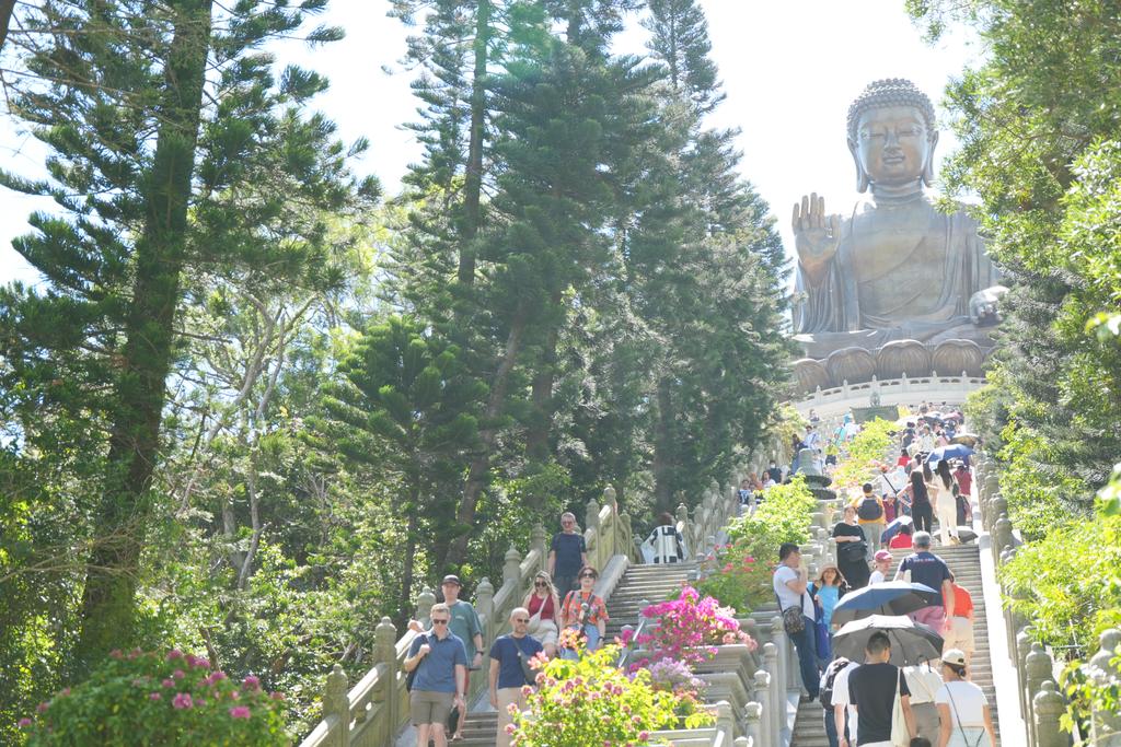 通往大屿山天坛大佛的268级台阶