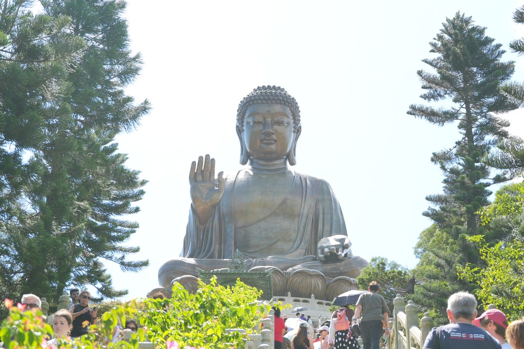 从台阶脚下仰望大屿山天坛大佛