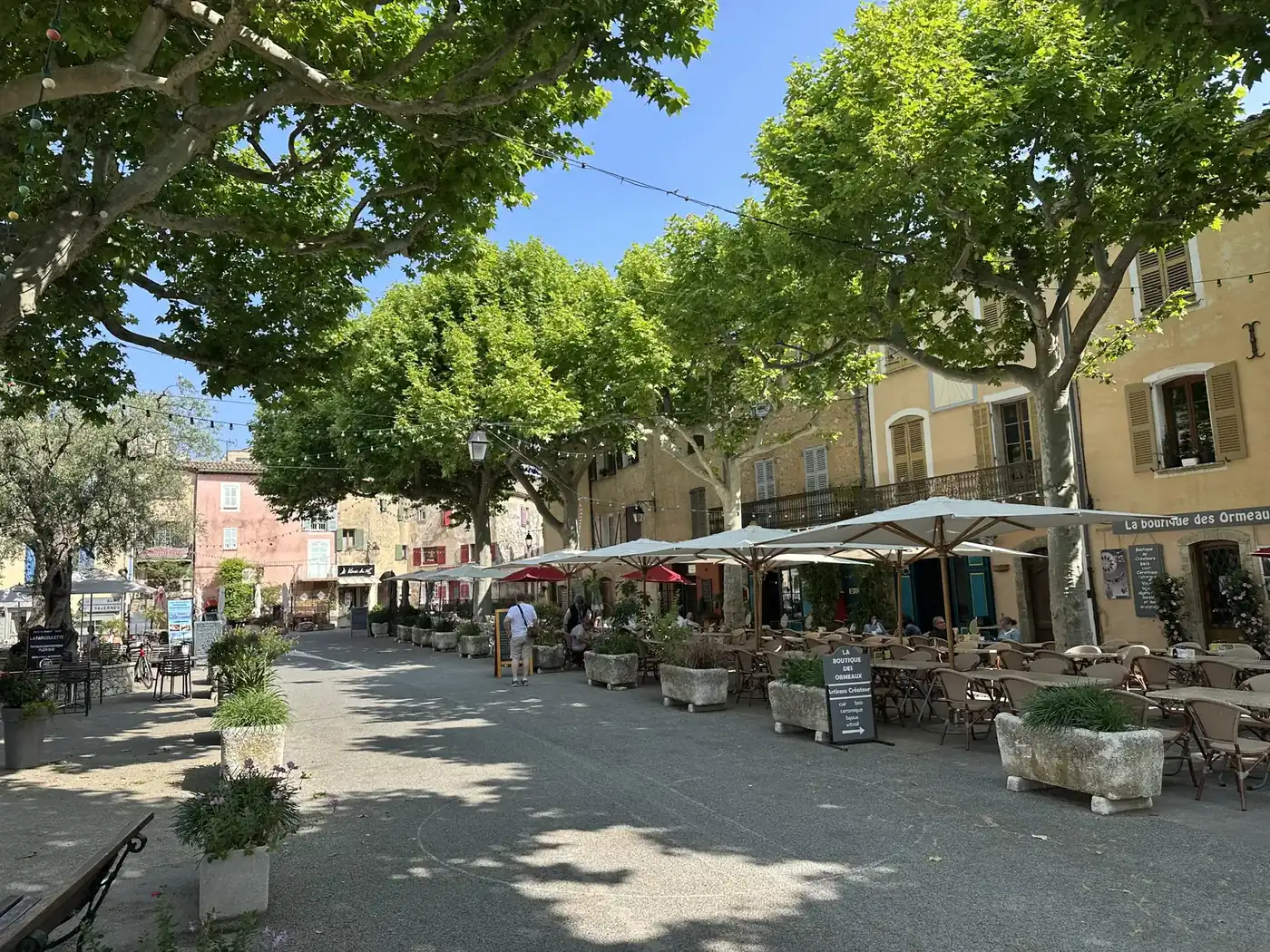 The square of Tourtour shaded by plane trees with café terraces